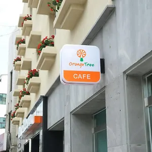 orange-tree-hotel-cafe.jejukoreahotels.com/